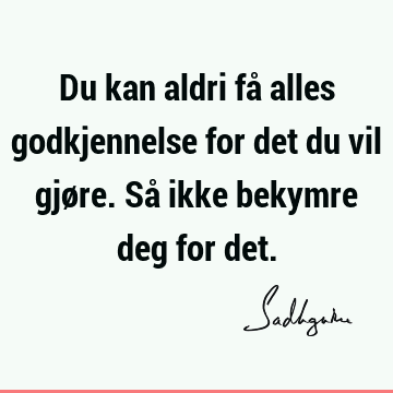 Du kan aldri få alles godkjennelse for det du vil gjøre. Så ikke bekymre deg for