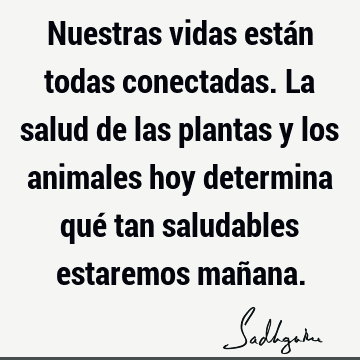 Nuestras vidas están todas conectadas. La salud de las plantas y los animales hoy determina qué tan saludables estaremos mañ