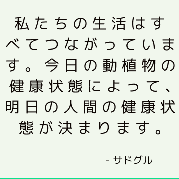 私たちの生活はすべてつながっています。

今日の動植物の健康状態によって、明日の人間の健康状態が決まります。