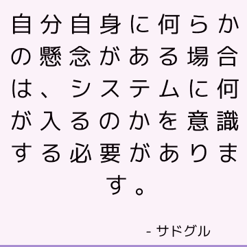 自分自身に何らかの懸念がある場合は、システムに何が入るのかを意識する必要があります。