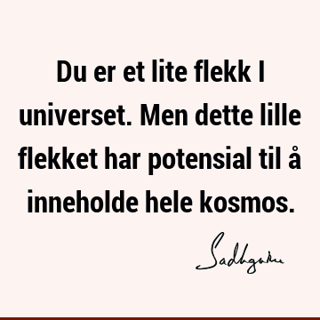 Du er et lite flekk i universet. Men dette lille flekket har potensial til å inneholde hele