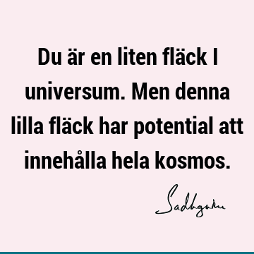 Du är en liten fläck i universum. Men denna lilla fläck har potential att innehålla hela