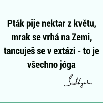 Pták pije nektar z květu, mrak se vrhá na Zemi, tancuješ se v extázi - to je všechno jó