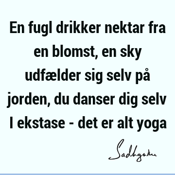 En fugl drikker nektar fra en blomst, en sky udfælder sig selv på jorden, du danser dig selv i ekstase - det er alt