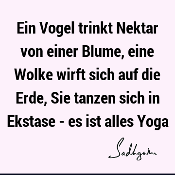 Ein Vogel trinkt Nektar von einer Blume, eine Wolke wirft sich auf die Erde, Sie tanzen sich in Ekstase - es ist alles Y