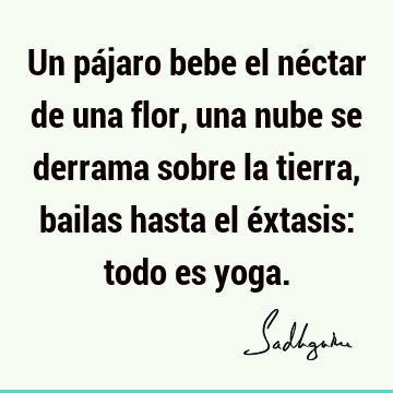 Un pájaro bebe el néctar de una flor, una nube se derrama sobre la tierra, bailas hasta el éxtasis: todo es