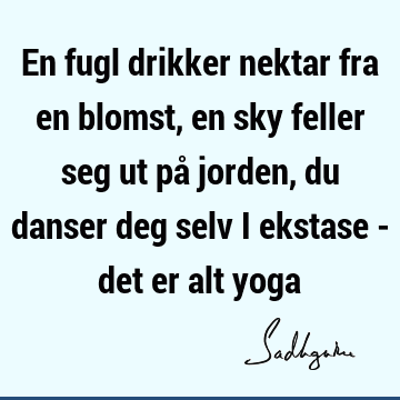 En fugl drikker nektar fra en blomst, en sky feller seg ut på jorden, du danser deg selv i ekstase - det er alt