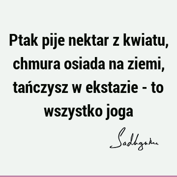 Ptak pije nektar z kwiatu, chmura osiada na ziemi, tańczysz w ekstazie - to wszystko