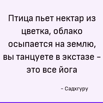 Птица пьет нектар из цветка, облако осыпается на землю, вы танцуете в экстазе - это все йога