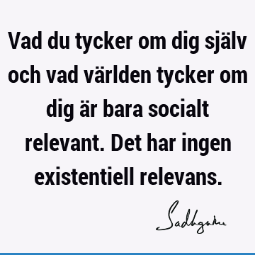 Vad du tycker om dig själv och vad världen tycker om dig är bara socialt relevant. Det har ingen existentiell