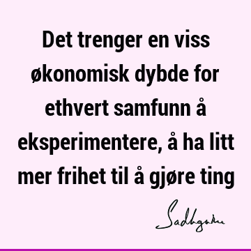 Det trenger en viss økonomisk dybde for ethvert samfunn å eksperimentere, å ha litt mer frihet til å gjøre