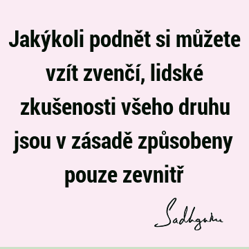 Jakýkoli podnět si můžete vzít zvenčí, lidské zkušenosti všeho druhu jsou v zásadě způsobeny pouze zevnitř