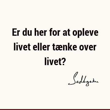 Er du her for at opleve livet eller tænke over livet?