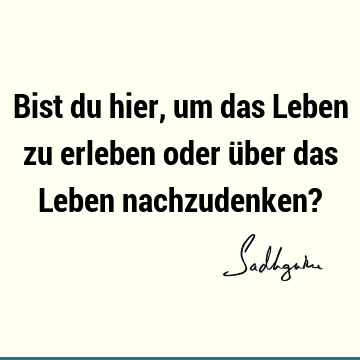 Bist du hier, um das Leben zu erleben oder über das Leben nachzudenken?