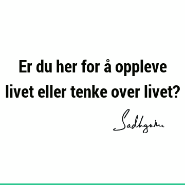 Er du her for å oppleve livet eller tenke over livet?