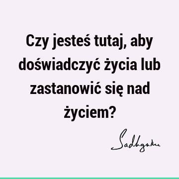 Czy jesteś tutaj, aby doświadczyć życia lub zastanowić się nad życiem?