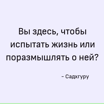 Вы здесь, чтобы испытать жизнь или поразмышлять о ней?