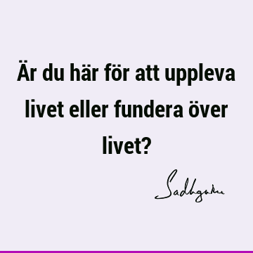 Är du här för att uppleva livet eller fundera över livet?