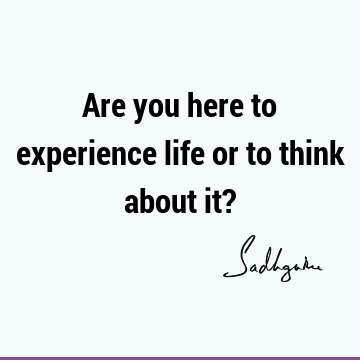 Are you here to experience life or to think about it?