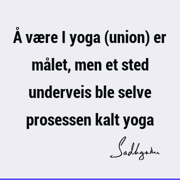 Å være i yoga (union) er målet, men et sted underveis ble selve prosessen kalt