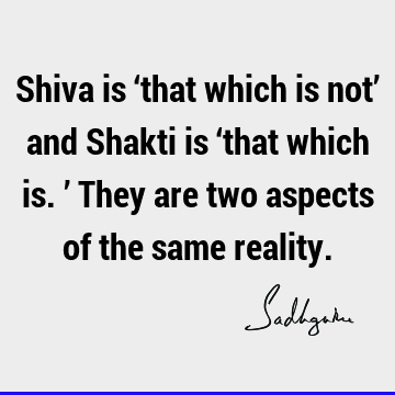 Shiva is ‘that which is not’ and Shakti is ‘that which is.’ They are two aspects of the same