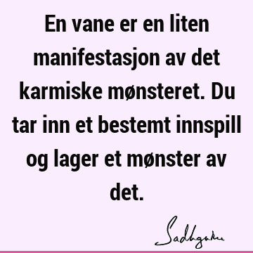 En vane er en liten manifestasjon av det karmiske mønsteret. Du tar inn et bestemt innspill og lager et mønster av