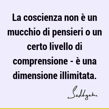 La coscienza non è un mucchio di pensieri o un certo livello di comprensione - è una dimensione