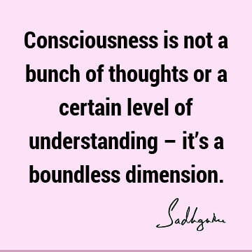 Consciousness is not a bunch of thoughts or a certain level of understanding – it’s a boundless