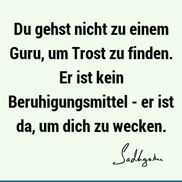 Du gehst nicht zu einem Guru, um Trost zu finden. Er ist kein Beruhigungsmittel - er ist da, um dich zu