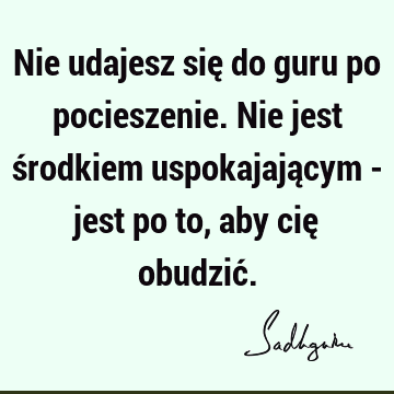 Nie udajesz się do guru po pocieszenie. Nie jest środkiem uspokajającym - jest po to, aby cię obudzić