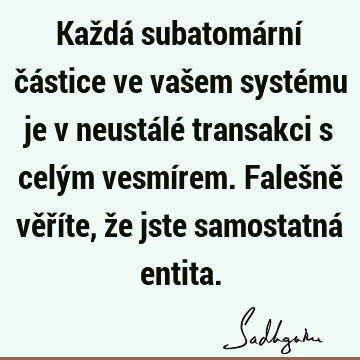 Každá subatomární částice ve vašem systému je v neustálé transakci s celým vesmírem. Falešně věříte, že jste samostatná