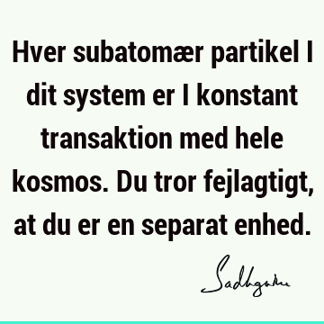 Hver subatomær partikel i dit system er i konstant transaktion med hele kosmos. Du tror fejlagtigt, at du er en separat