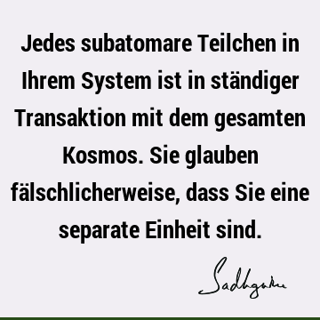 Jedes subatomare Teilchen in Ihrem System ist in ständiger Transaktion mit dem gesamten Kosmos. Sie glauben fälschlicherweise, dass Sie eine separate Einheit