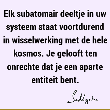 Elk subatomair deeltje in uw systeem staat voortdurend in wisselwerking met de hele kosmos. Je gelooft ten onrechte dat je een aparte entiteit