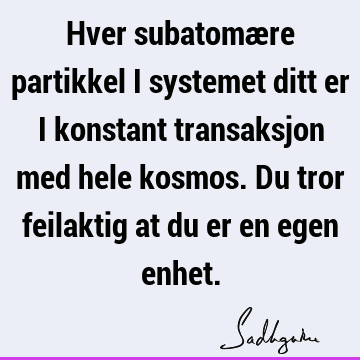 Hver subatomære partikkel i systemet ditt er i konstant transaksjon med hele kosmos. Du tror feilaktig at du er en egen