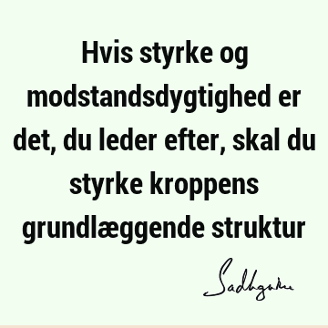 Hvis styrke og modstandsdygtighed er det, du leder efter, skal du styrke kroppens grundlæggende