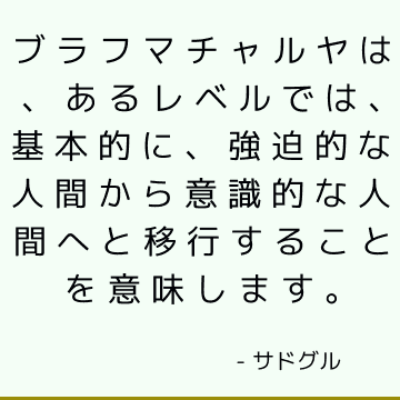 ブラフマチャルヤは、あるレベルでは、基本的に、強迫的な人間から意識的な人間へと移行することを意味します。