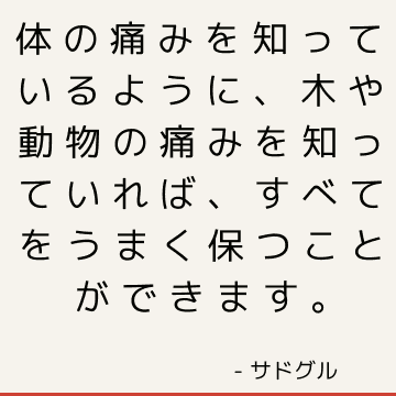 体の痛みを知っているように、木や動物の痛みを知っていれば、すべてをうまく保つことができます。