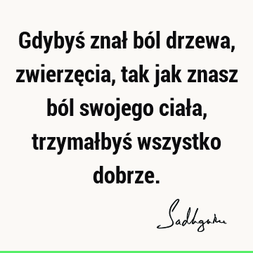 Gdybyś znał ból drzewa, zwierzęcia, tak jak znasz ból swojego ciała, trzymałbyś wszystko