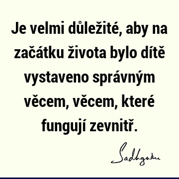 Je velmi důležité, aby na začátku života bylo dítě vystaveno správným věcem, věcem, které fungují zevnitř