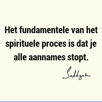 Het fundamentele van het spirituele proces is dat je alle aannames