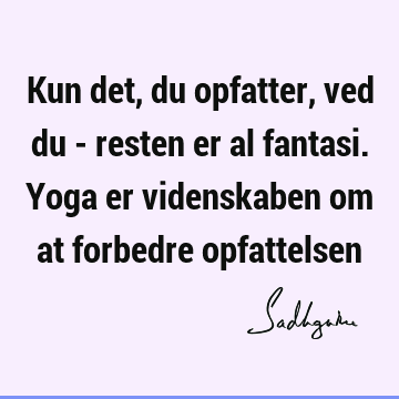 Kun det, du opfatter, ved du - resten er al fantasi. Yoga er videnskaben om at forbedre