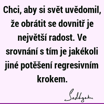 Chci, aby si svět uvědomil, že obrátit se dovnitř je největší radost. Ve srovnání s tím je jakékoli jiné potěšení regresivním