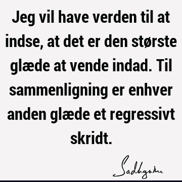 Jeg vil have verden til at indse, at det er den største glæde at vende indad. Til sammenligning er enhver anden glæde et regressivt