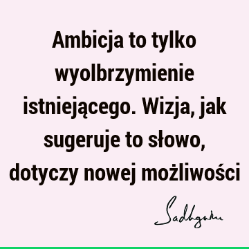 Ambicja to tylko wyolbrzymienie istniejącego. Wizja, jak sugeruje to słowo, dotyczy nowej możliwoś