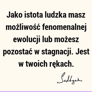 Jako istota ludzka masz możliwość fenomenalnej ewolucji lub możesz pozostać w stagnacji. Jest w twoich rę