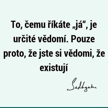 To, čemu říkáte „já“, je určité vědomí. Pouze proto, že jste si vědomi, že existují