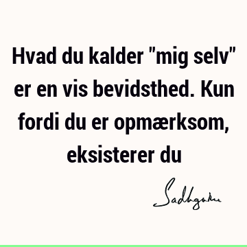 Hvad du kalder "mig selv" er en vis bevidsthed. Kun fordi du er opmærksom, eksisterer