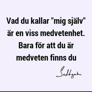 Vad du kallar "mig själv" är en viss medvetenhet. Bara för att du är medveten finns