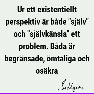 Ur ett existentiellt perspektiv är både "själv" och "självkänsla" ett problem. Båda är begränsade, ömtåliga och osä